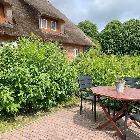 Ole In - B66092 Apartment