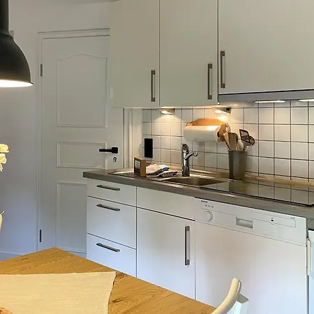 Ole In - B66092 Apartment Borgsum