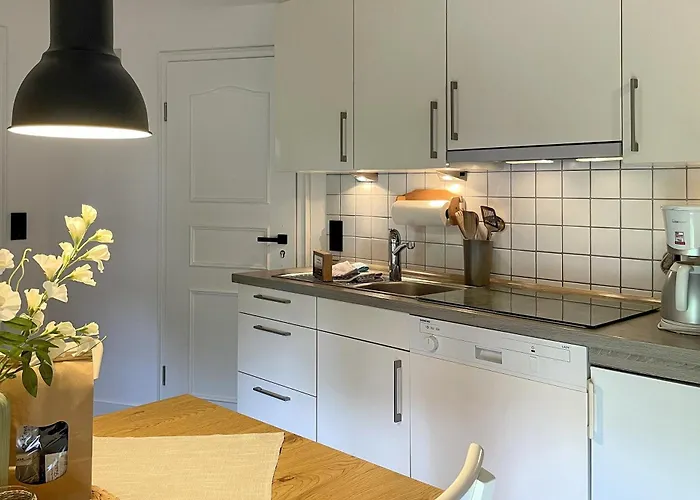 Ole In Apartamento Borgsum
